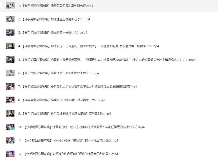 分手挽回视频课程【非常实用】